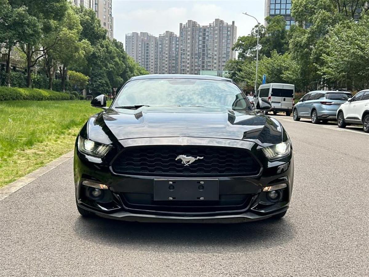 福特 Mustang  2015款 2.3T 性能版圖片