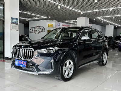 2024年1月 宝马 宝马X1 sDrive20Li X设计套装图片