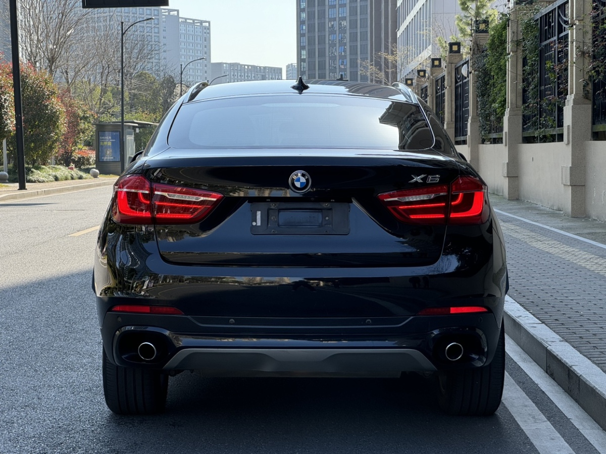 寶馬 寶馬X6  2015款 xDrive35i 領(lǐng)先型圖片