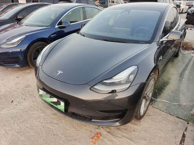 2020年4月 特斯拉 Model 3 標(biāo)準(zhǔn)續(xù)航后驅(qū)升級版圖片