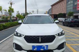 V80 上汽大通 2.5T AMT經(jīng)典城配王短軸中頂2/3座