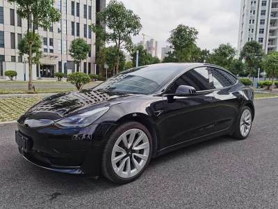 2020年8月 特斯拉 Model 3 改款 標(biāo)準(zhǔn)續(xù)航后驅(qū)升級版圖片