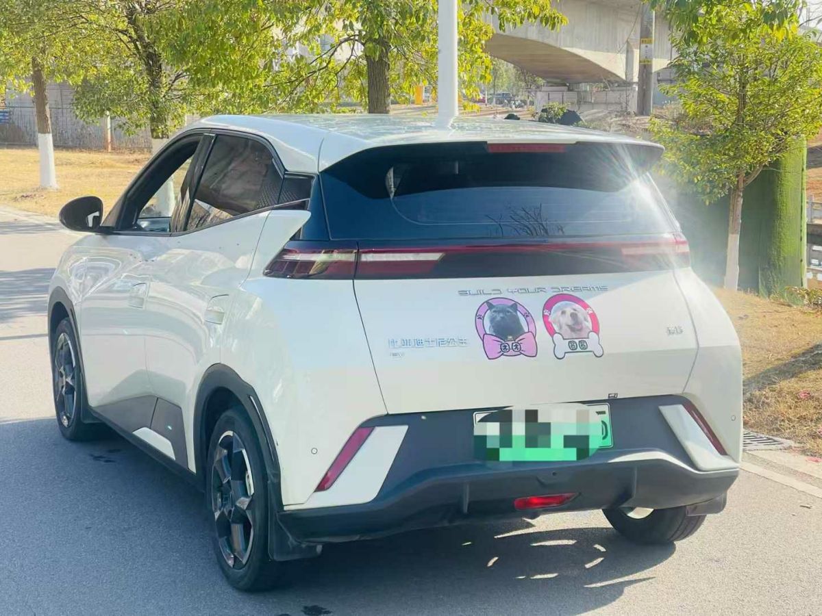 比亞迪 宋L DM-i  2024款 112km 超越型圖片