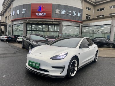 2020年10月 特斯拉 Model 3 標(biāo)準(zhǔn)續(xù)航后驅(qū)升級(jí)版圖片