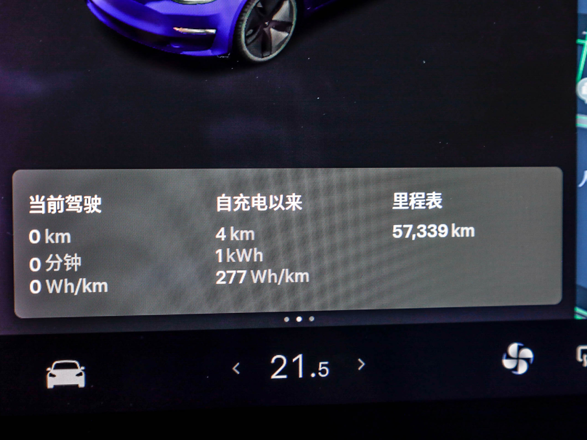 特斯拉 特斯拉 Model 3 2021款 標(biāo)準(zhǔn)續(xù)航后驅(qū)升級(jí)版 3D6圖片