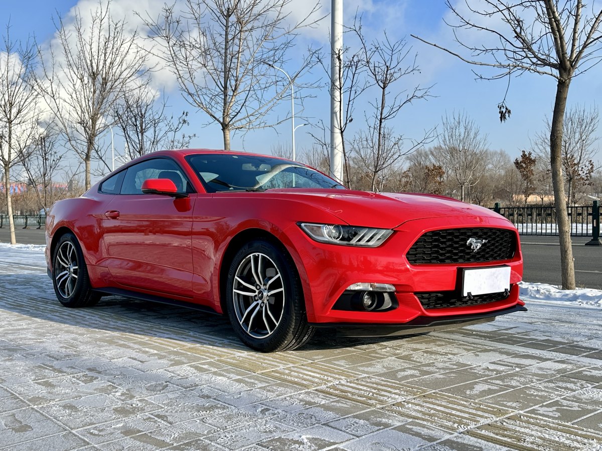 福特 Mustang  2015款 2.3T 性能版圖片