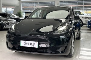 Model Y 特斯拉 改款 长续航后轮驱动版