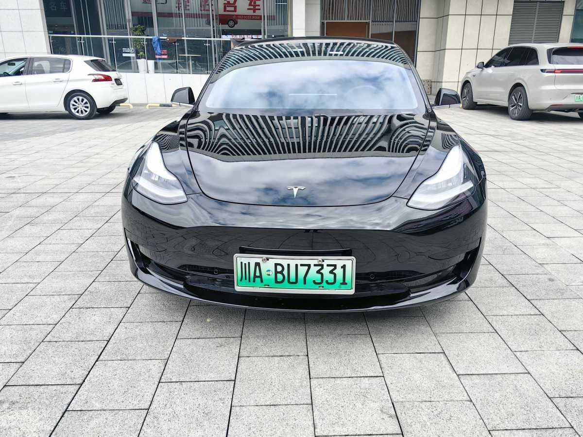 特斯拉 Model 3  2019款 標(biāo)準(zhǔn)續(xù)航后驅(qū)升級(jí)版圖片