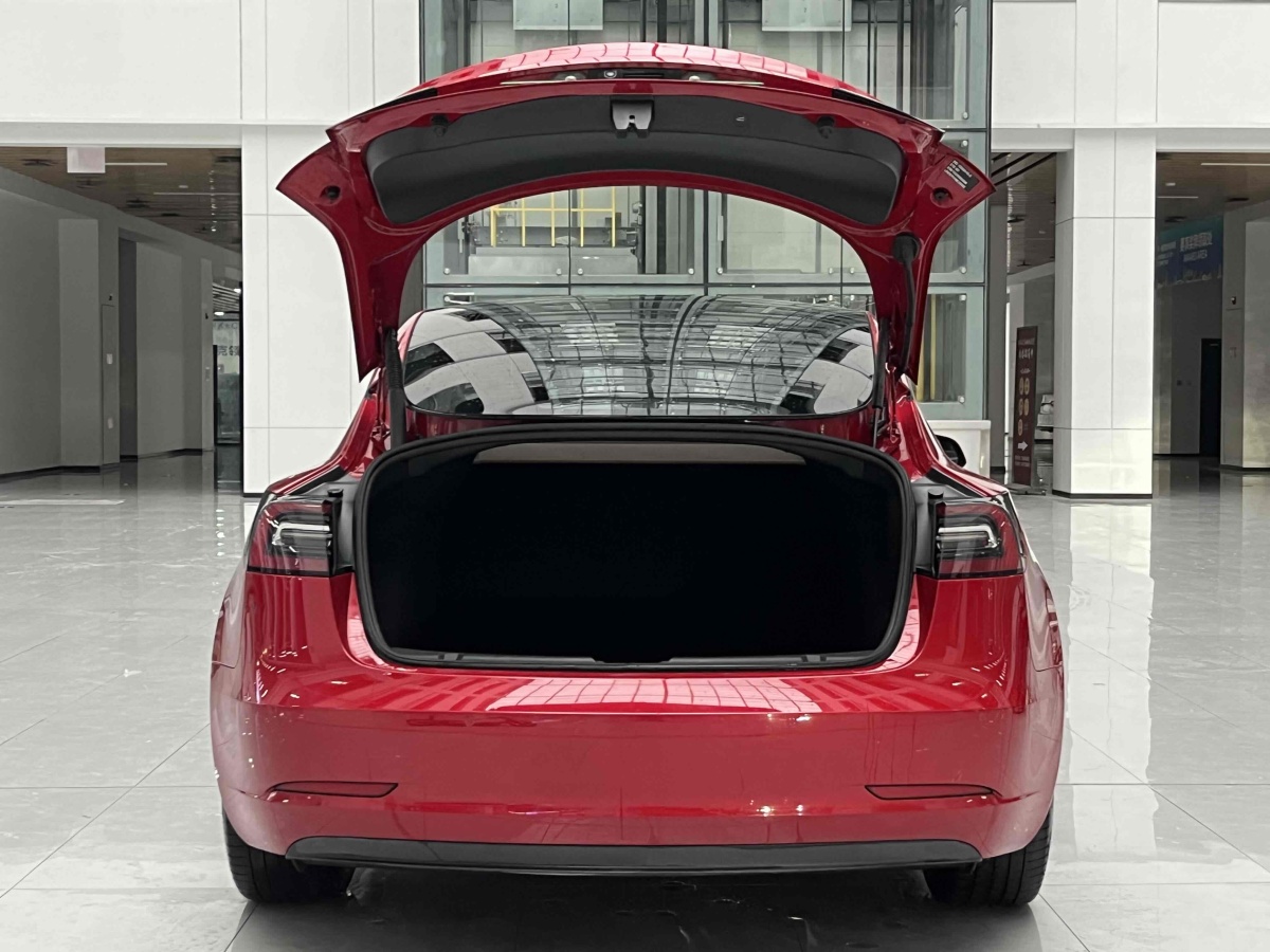 特斯拉 Model 3  2019款 標(biāo)準(zhǔn)續(xù)航后驅(qū)升級版圖片