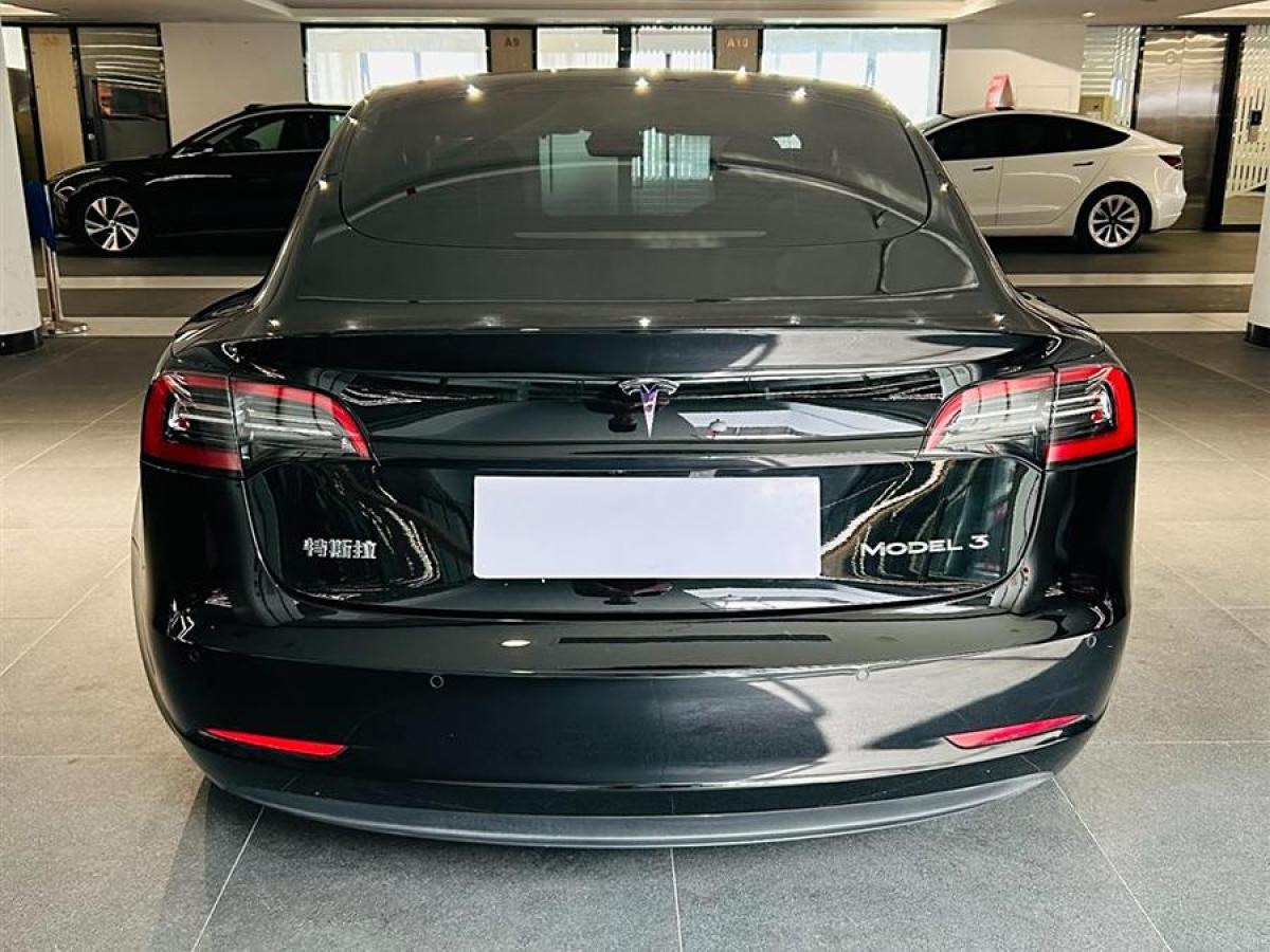 特斯拉 Model 3  2021款 改款 標(biāo)準(zhǔn)續(xù)航后驅(qū)升級版圖片