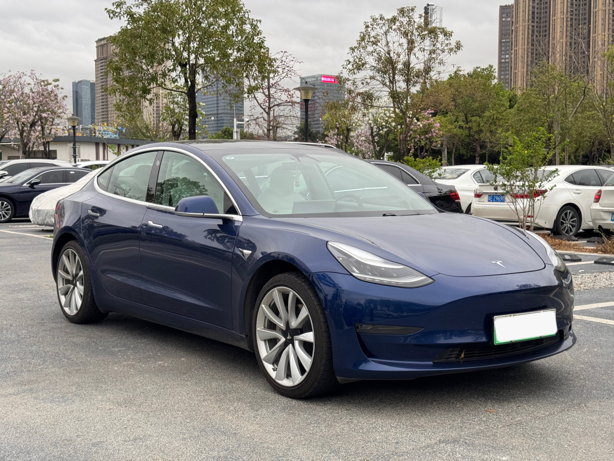 2020年6月特斯拉 Model 3  2020款 改款 長(zhǎng)續(xù)航后輪驅(qū)動(dòng)版