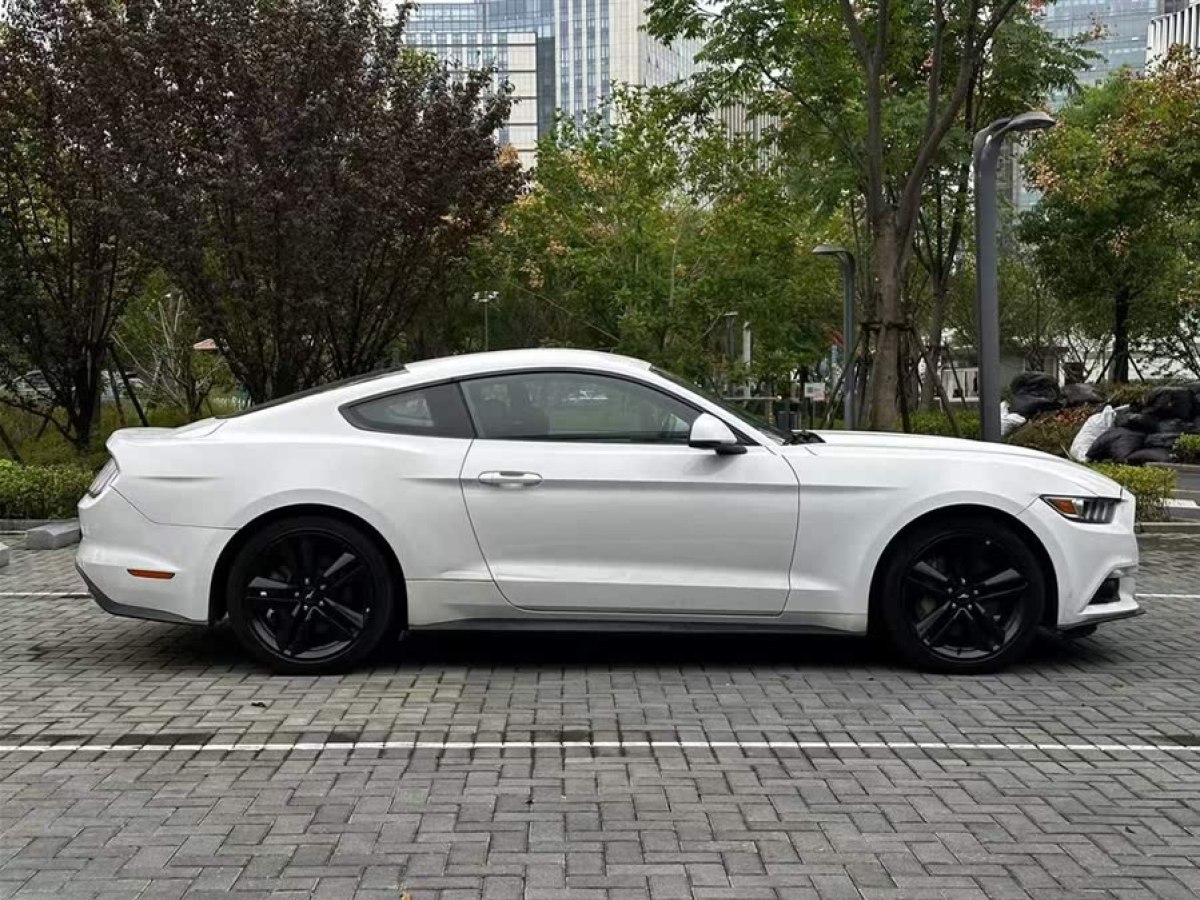 福特 Mustang  2017款 2.3T 性能版圖片