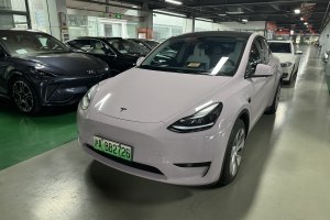 Model Y 特斯拉 改款 长续航后轮驱动版