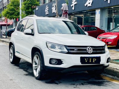 2013年3月 大众 Tiguan(进口) 2.0TSI 舒适版图片