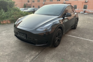 Model Y 特斯拉 后轮驱动版