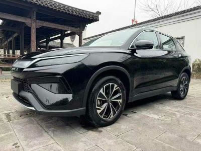 2024年1月 比亞迪 宋L 550km 卓越型圖片