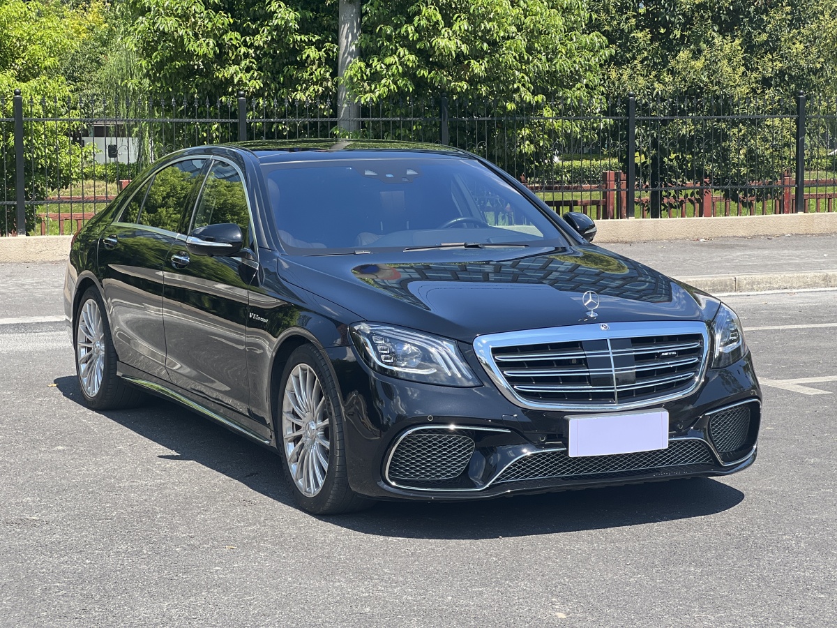 奔驰 奔驰S级AMG  2018款 AMG S 65 L图片