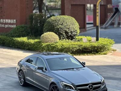 2011年12月 奔馳 奔馳CLS級(進(jìn)口) CLS 350 CGI圖片