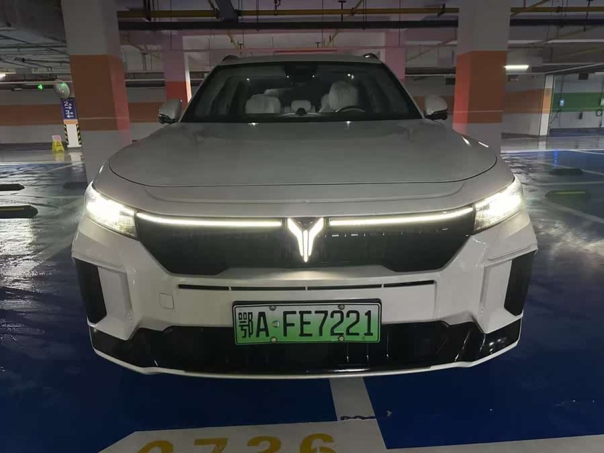 嵐圖 嵐圖FREE  2025款 318 318km 后驅(qū)環(huán)游版圖片