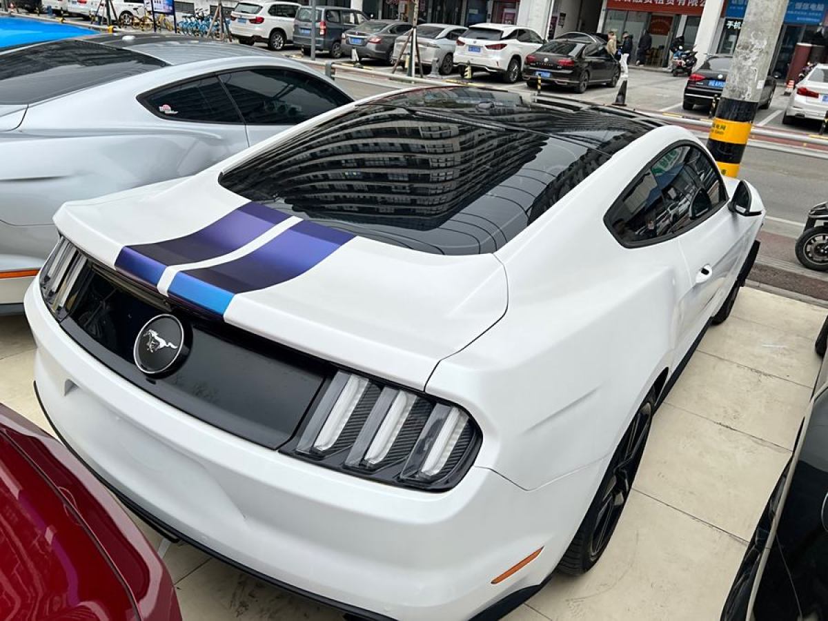 福特 Mustang  2015款 2.3T 性能版圖片