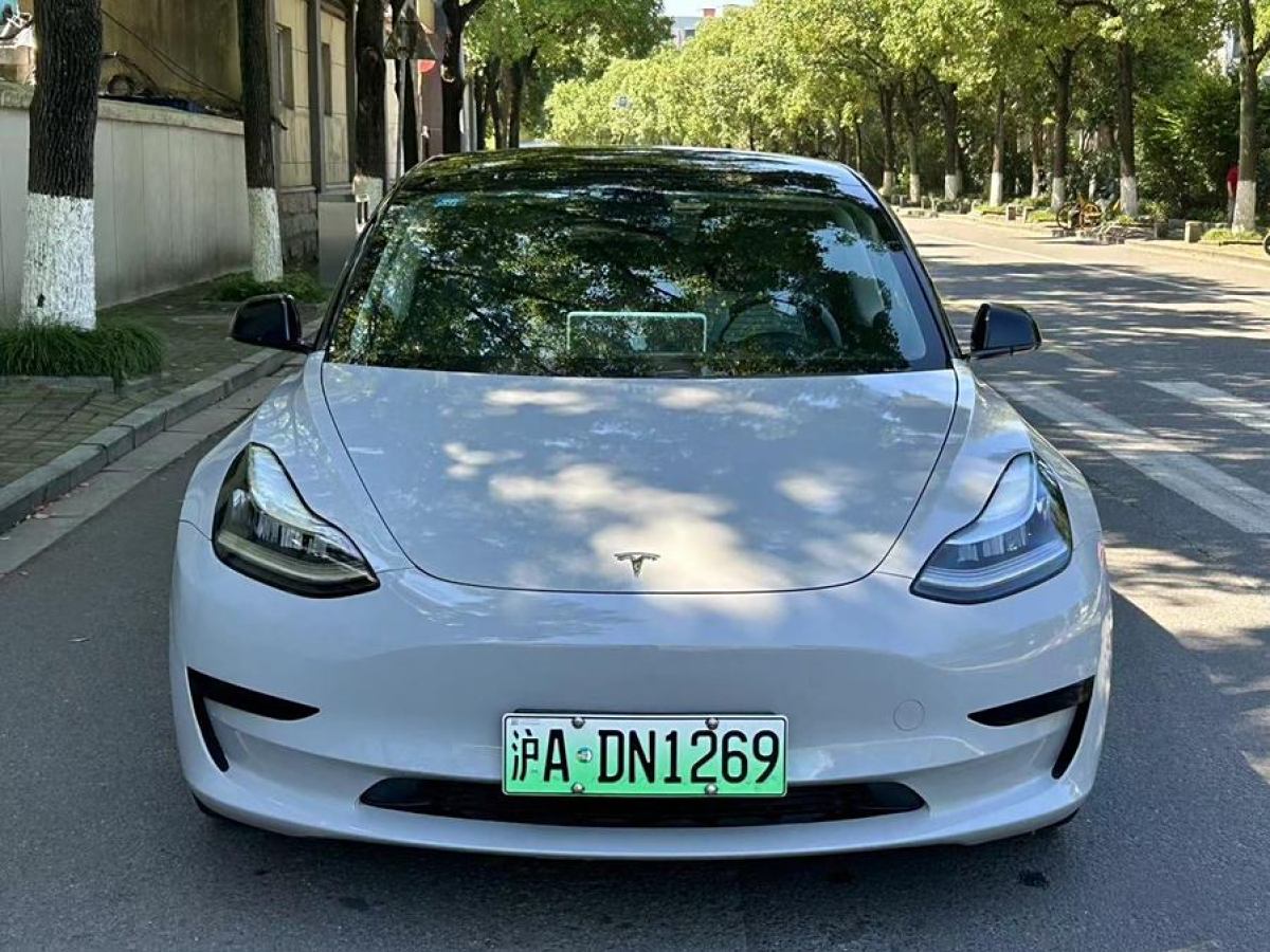 特斯拉 Model 3  2020款 改款 標(biāo)準(zhǔn)續(xù)航后驅(qū)升級(jí)版圖片