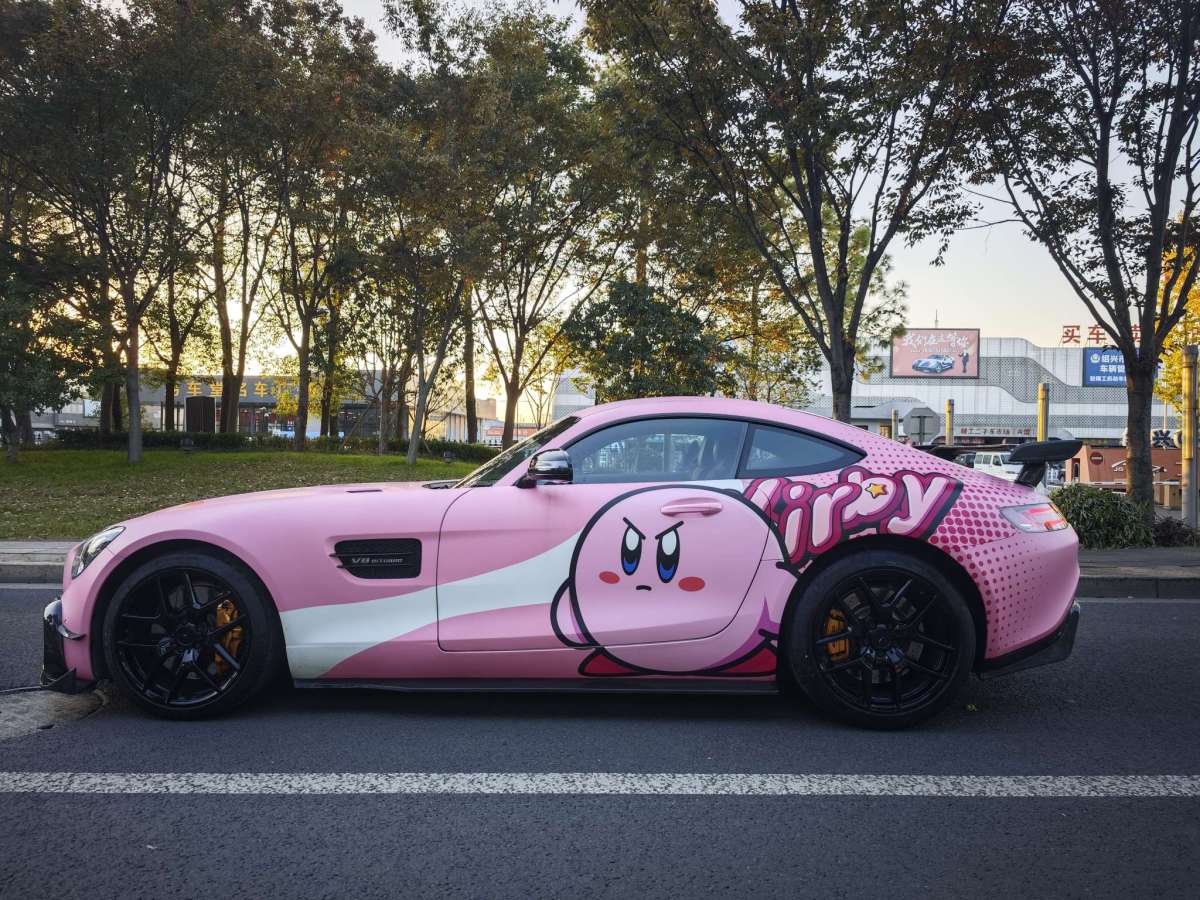 奔馳 奔馳AMG GT  2019款 AMG GT圖片