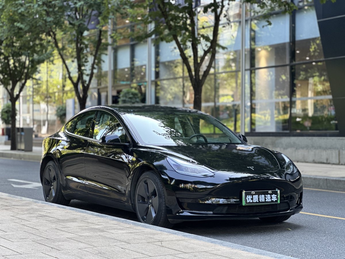 2023年5月特斯拉 Model 3  2022款 改款 后輪驅(qū)動版