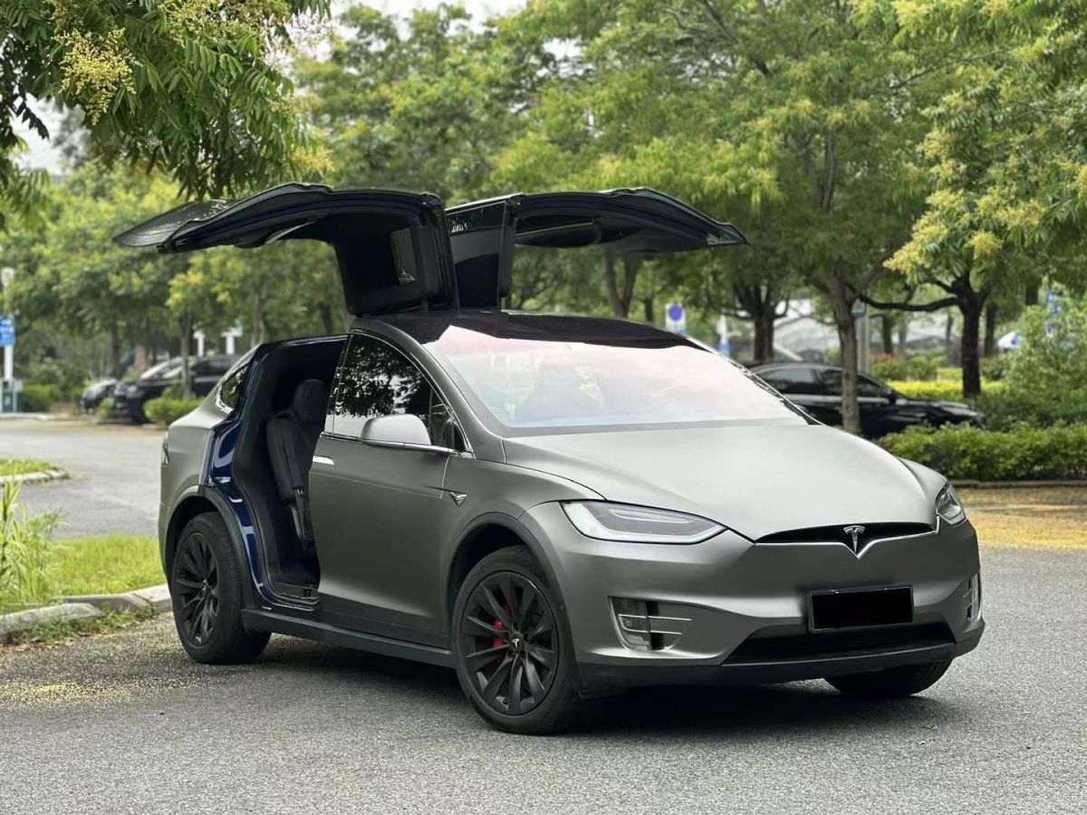 特斯拉 Model S  2019款 Performance 高性能版圖片