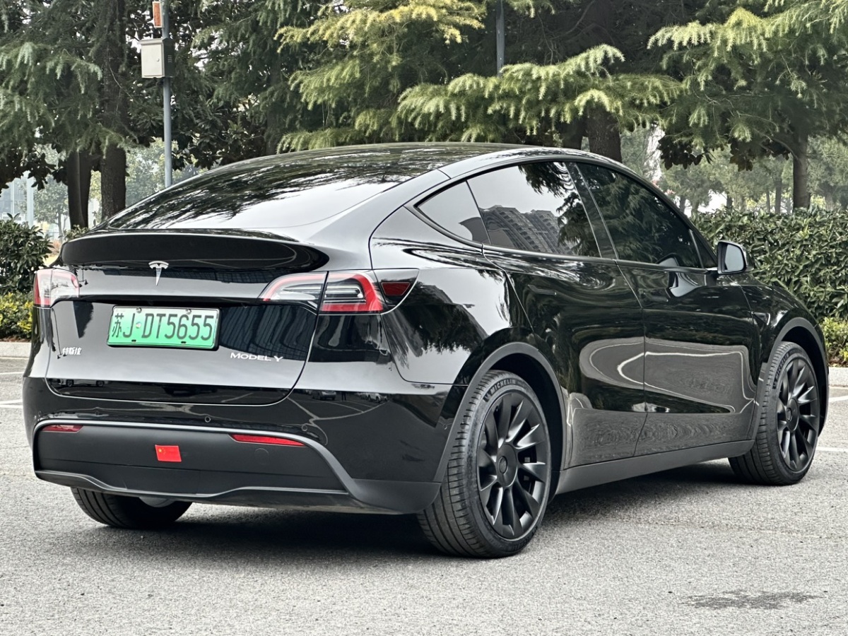 特斯拉 Model Y  2023款 后輪驅動版圖片