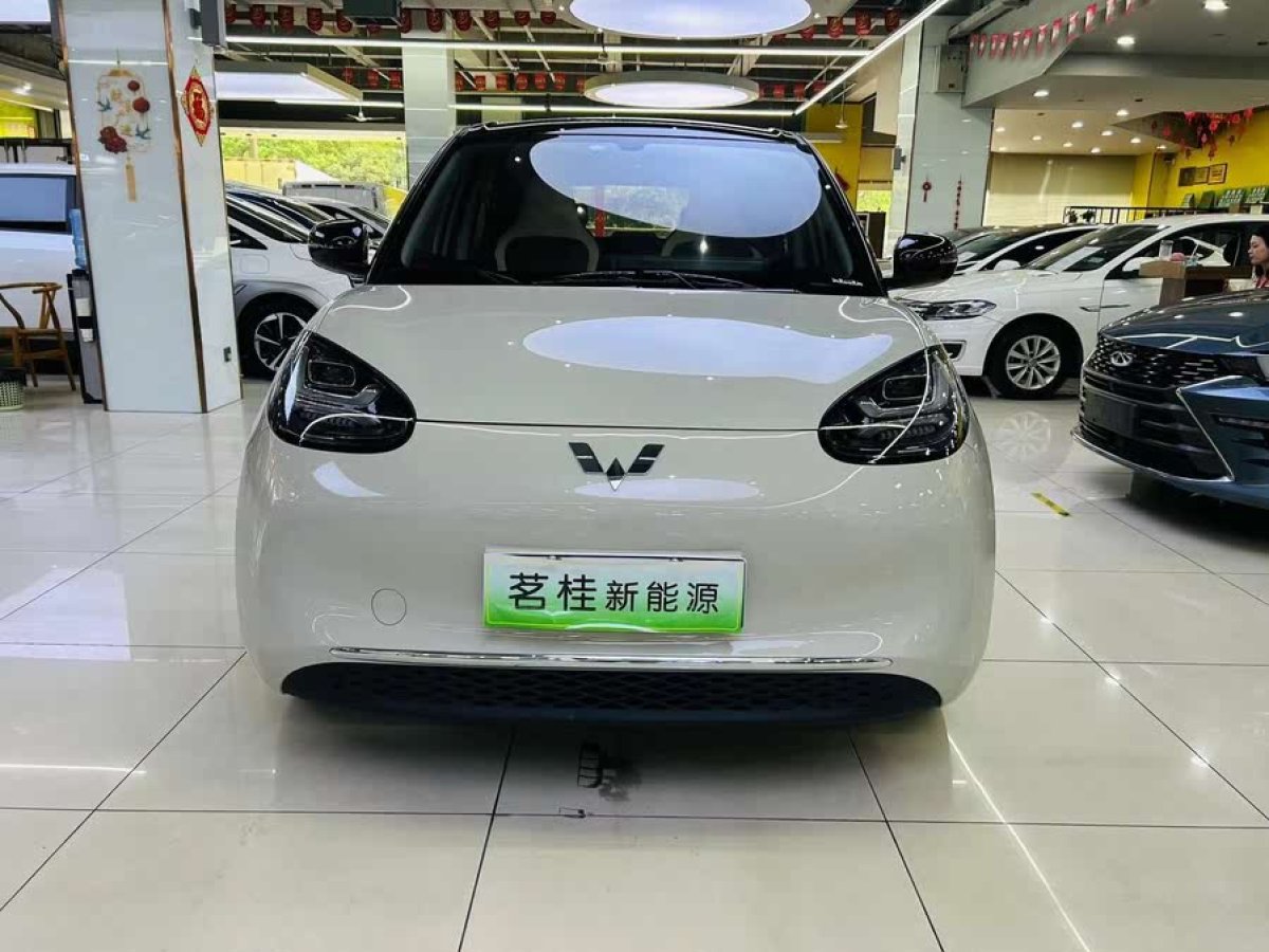 五菱 五菱繽果  2024款 333km 悅享款圖片