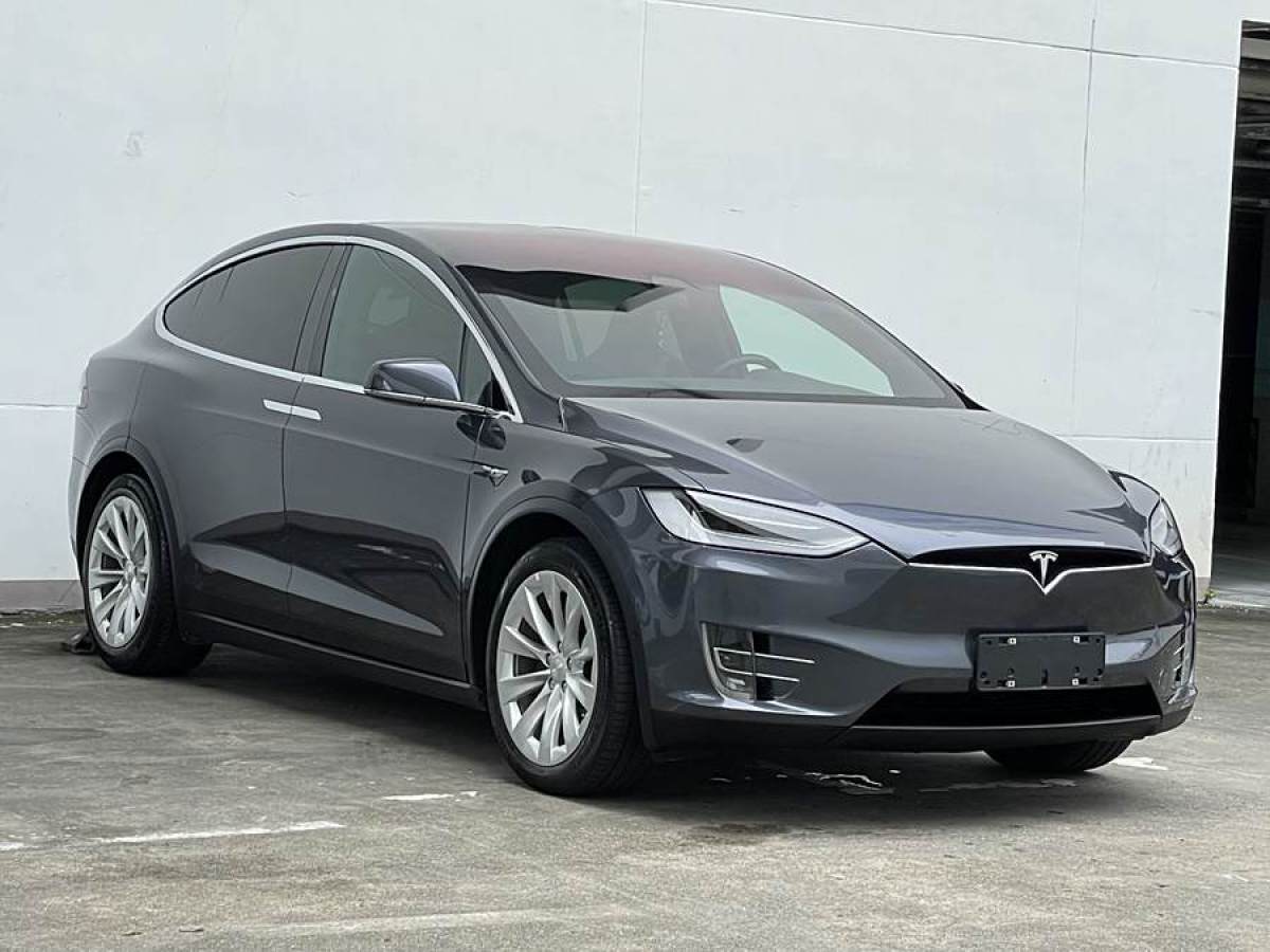 特斯拉 Model X  2016款 Model X 75D圖片