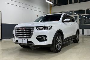 H6 哈弗 换代 红标 1.3T 自动两驱智尚型