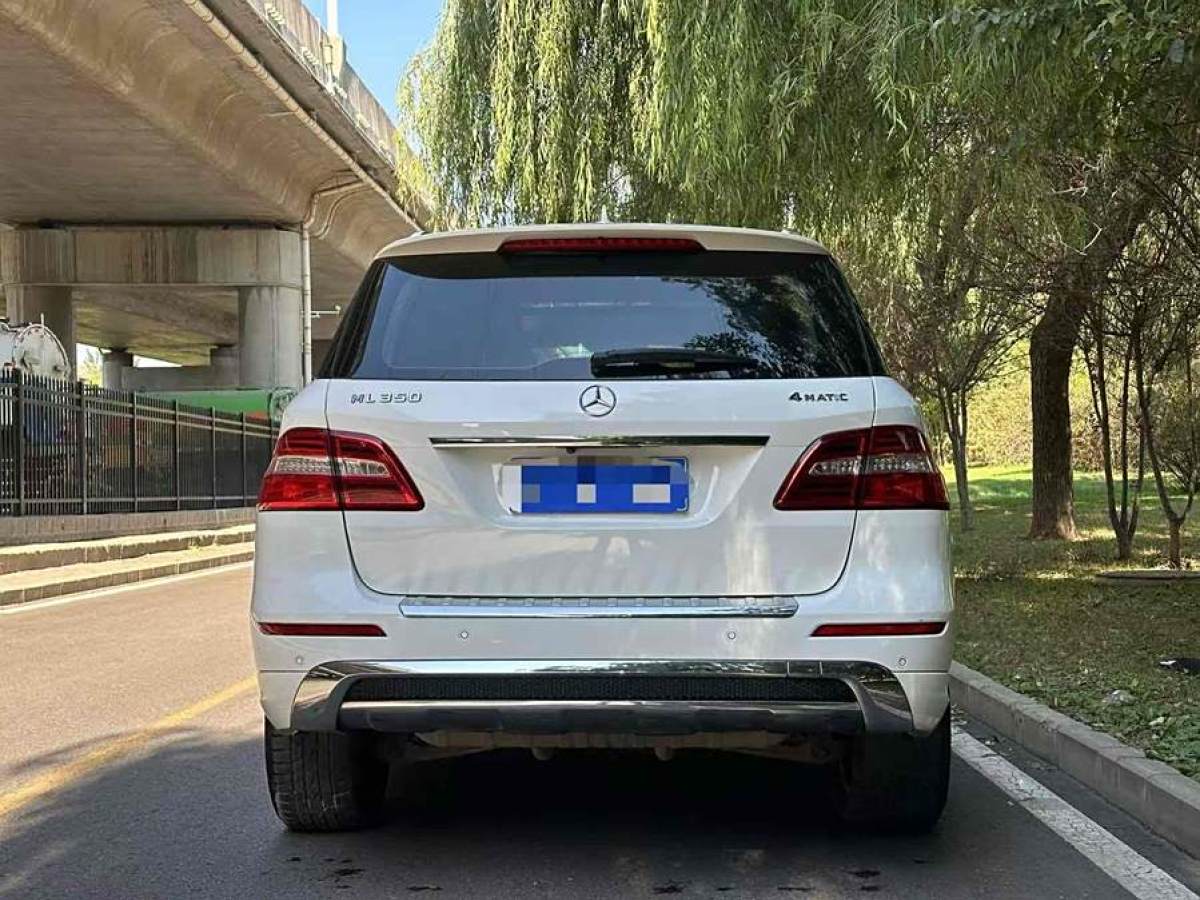 奔馳 奔馳M級(jí)  2014款 ML 320 4MATIC圖片