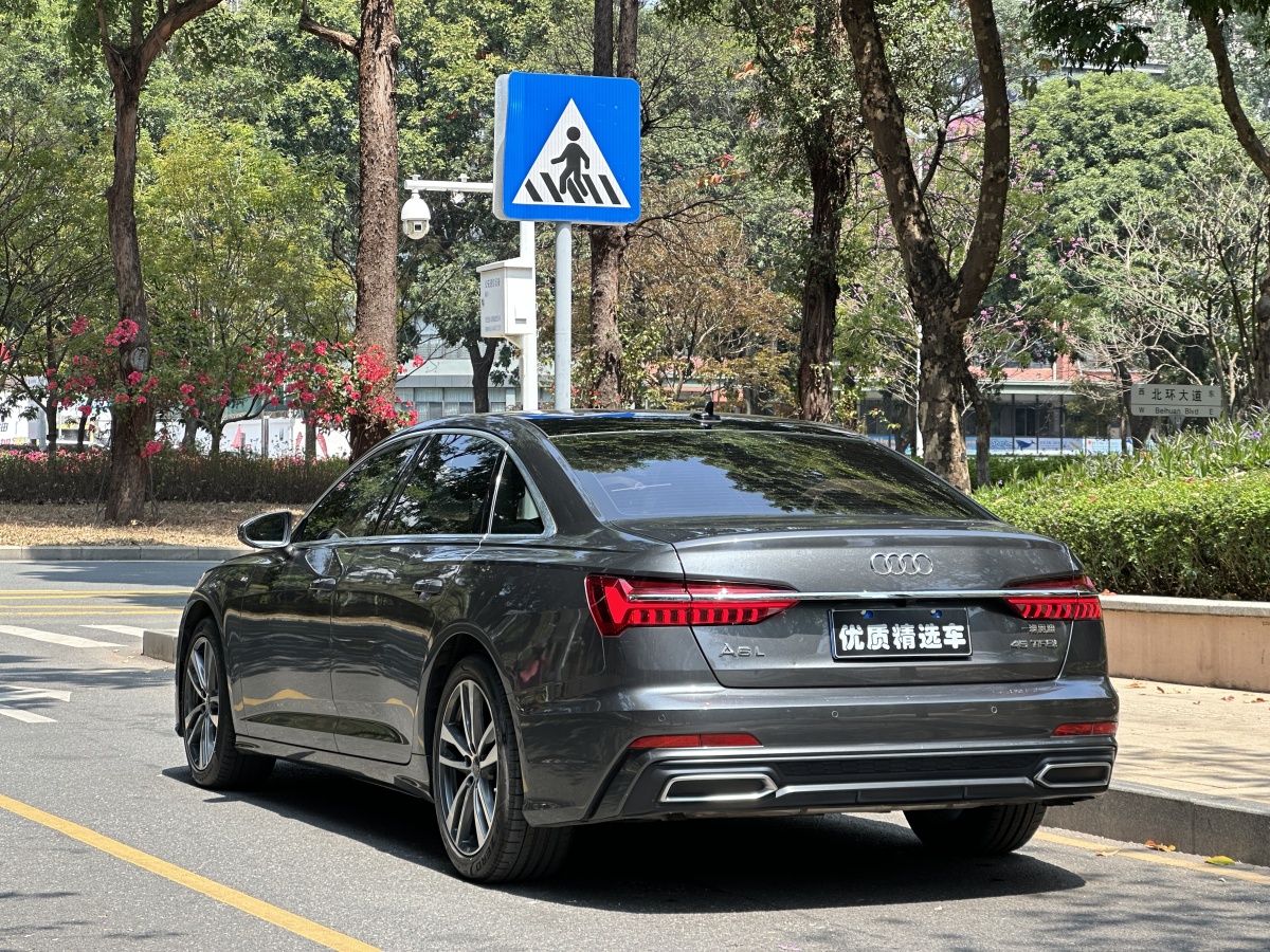 2020年4月奧迪 奧迪A6L  2019款 45 TFSI 臻選動感型