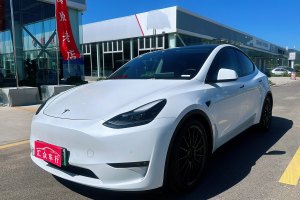 Model 3 特斯拉 长续航全轮驱动版 3D7