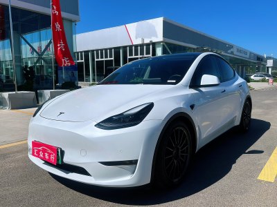 2021年6月 特斯拉 Model 3 长续航全轮驱动版 3D7图片