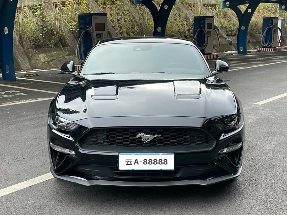 福特 Mustang  2021款 2.3L EcoBoost 馳影性能進(jìn)階版圖片