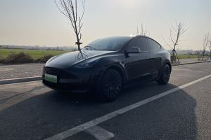 Model 3 特斯拉 改款 長續(xù)航后輪驅動版