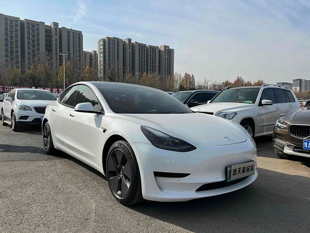 特斯拉 Model 3  2021款 改款 標(biāo)準(zhǔn)續(xù)航后驅(qū)升級(jí)版圖片