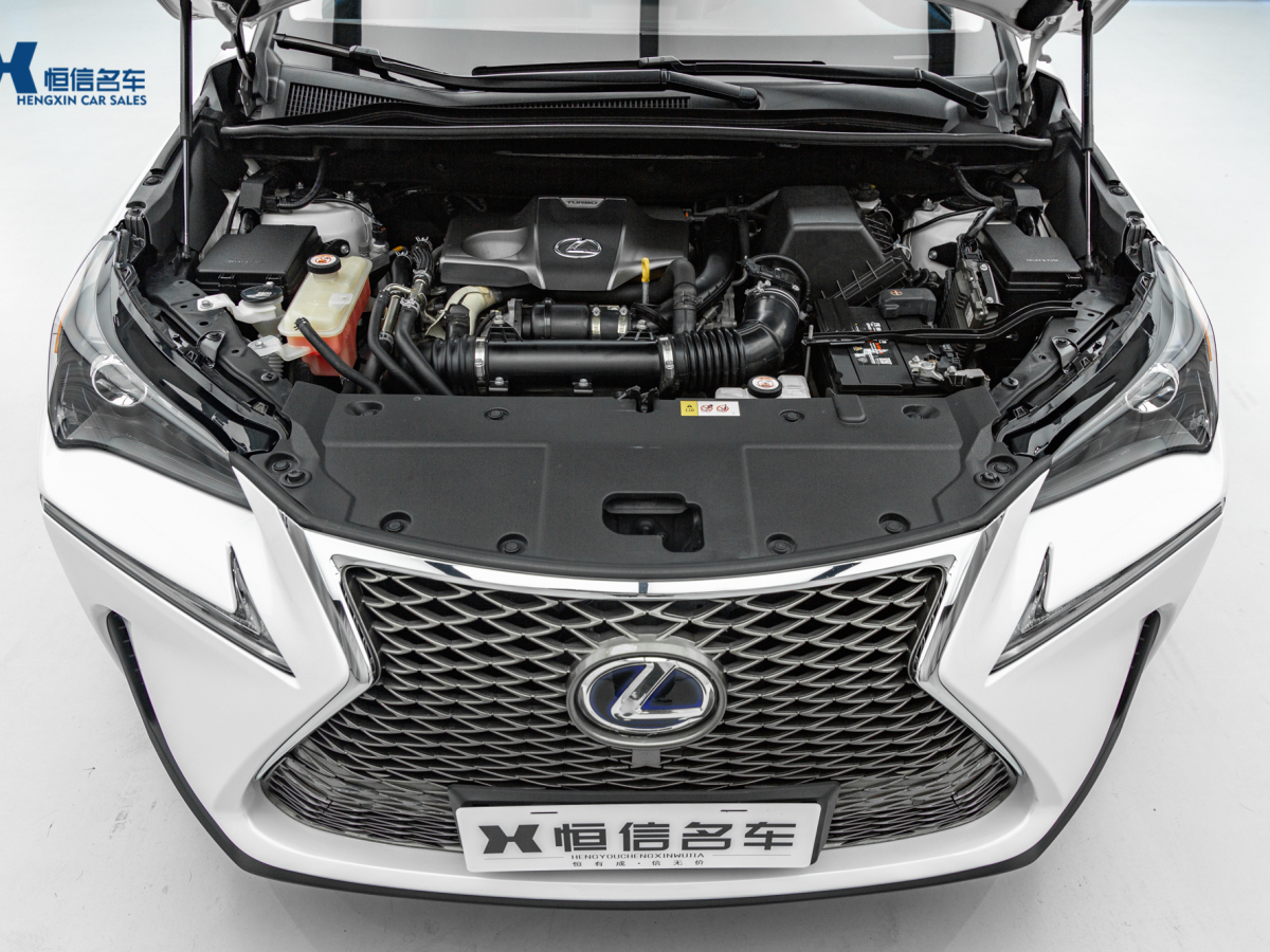 雷克薩斯 NX  2015款 200t 全驅(qū) 鋒尚版圖片