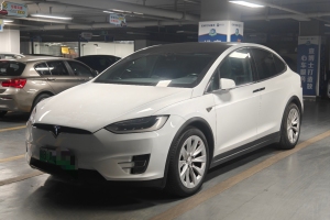 Model X 特斯拉 Model X 75D