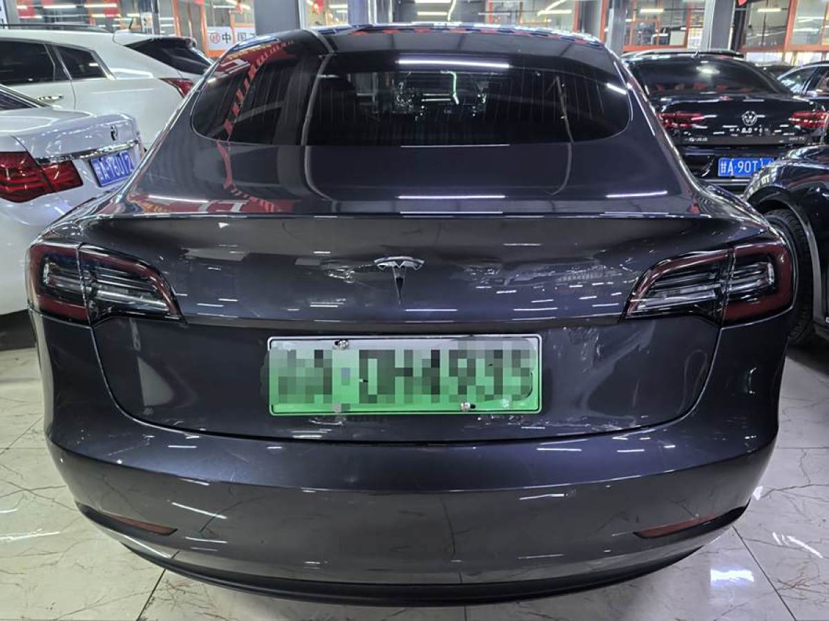 特斯拉 Model 3  2019款 標(biāo)準(zhǔn)續(xù)航后驅(qū)升級版圖片