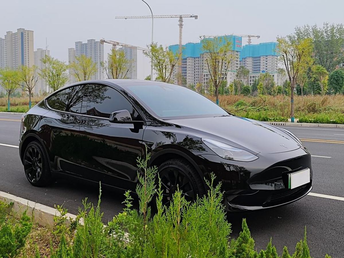 特斯拉 Model Y  2020款 改款 長續(xù)航后輪驅(qū)動(dòng)版圖片