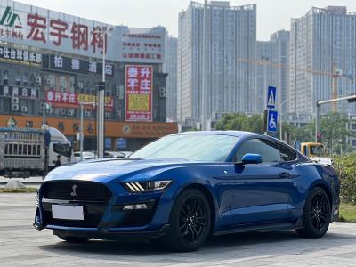 2018年3月 福特 Mustang(進(jìn)口) 2.3T 性能版圖片