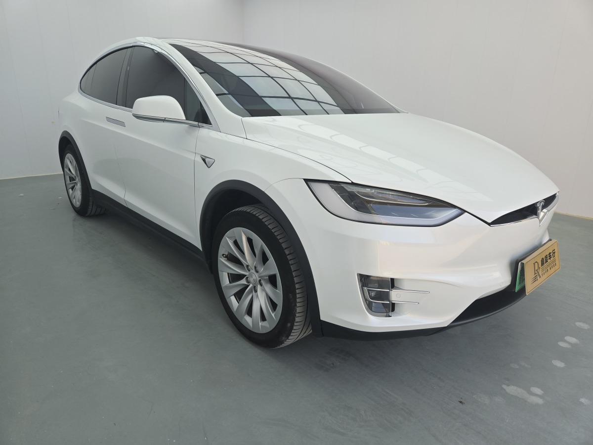 特斯拉 Model X  2016款 Model X 75D圖片