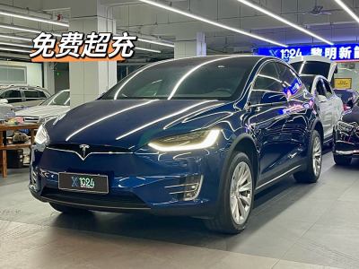 2020年1月 特斯拉 Model X 長續(xù)航版圖片