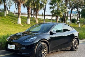 Model Y 特斯拉 改款 后輪驅(qū)動(dòng)版