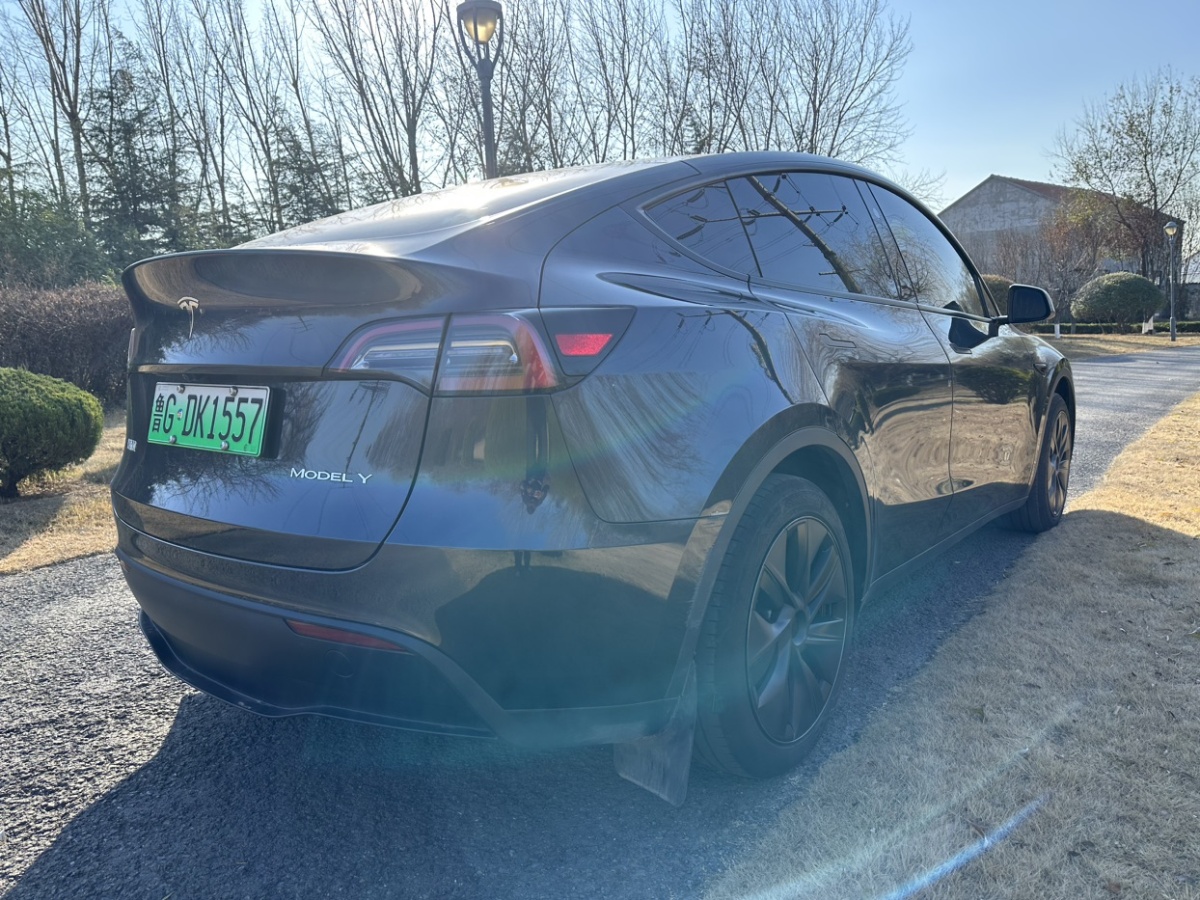 特斯拉 Model Y  2024款 后輪驅動版圖片