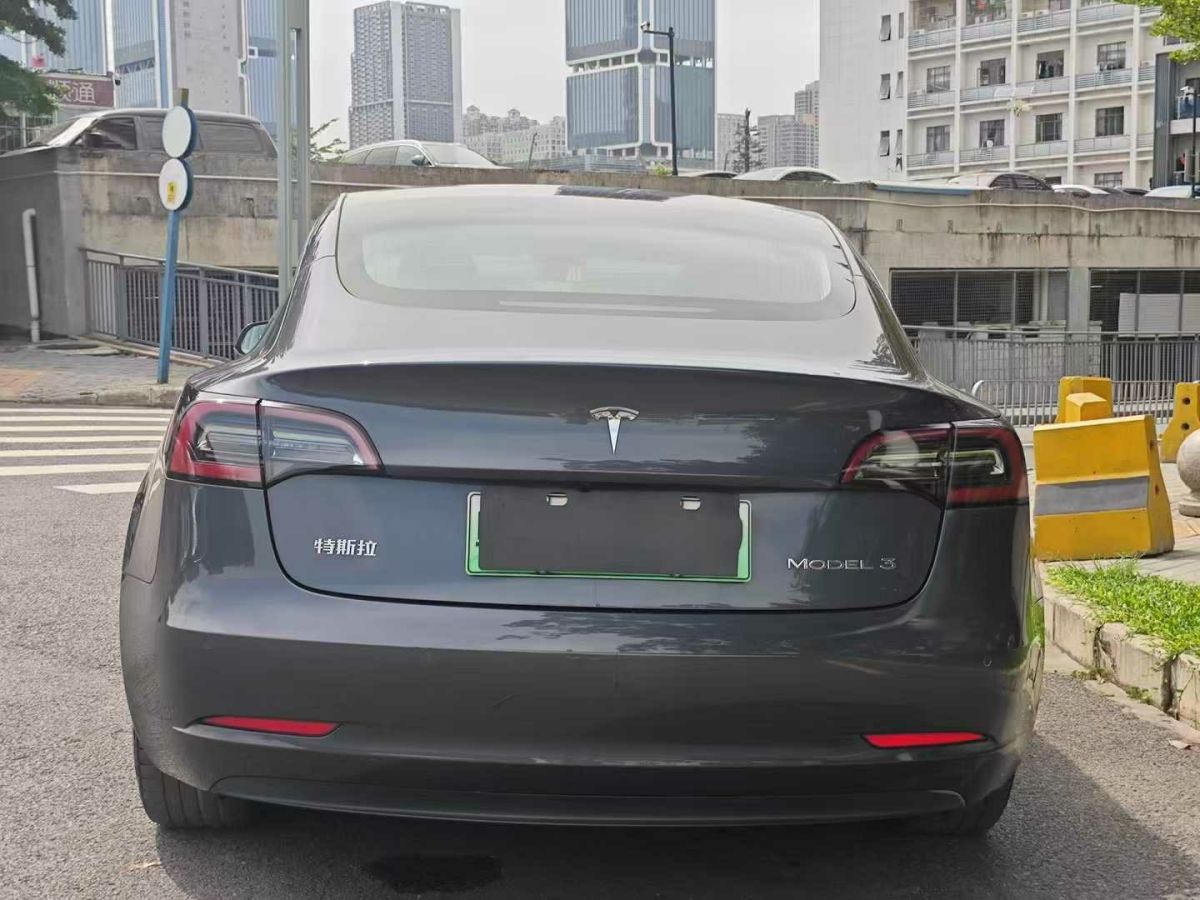 特斯拉 Model X  2020款 Performance 高性能版圖片