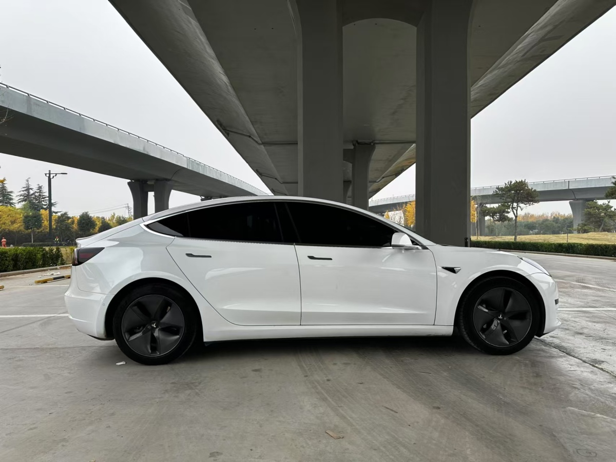 特斯拉 Model 3  2020款 改款 標準續(xù)航后驅升級版圖片